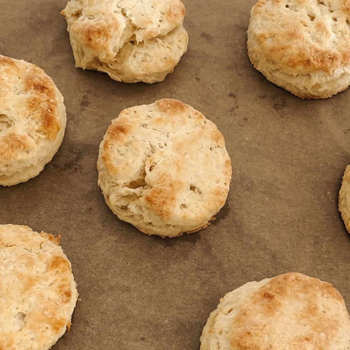 easy homemade biscuits on a pan with parchment paper