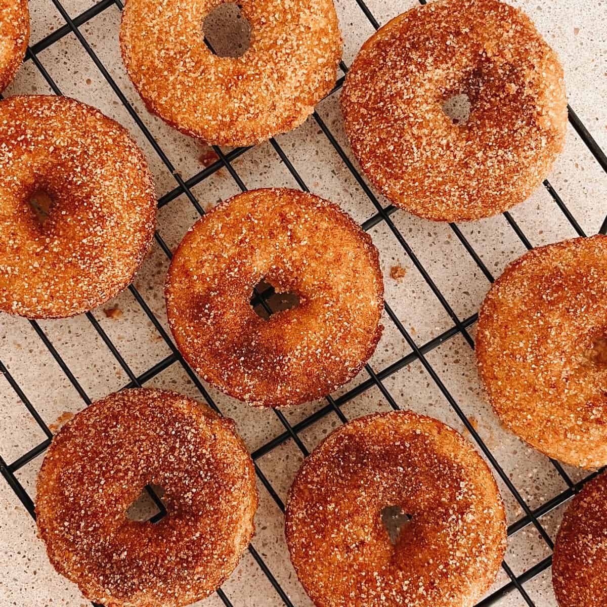 homemade apple cider donuts on a wire rack