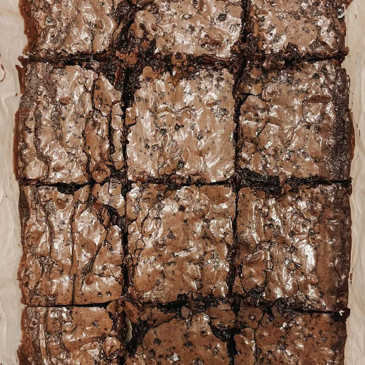 one pan brownies cut into pieces in pan